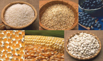 Productos